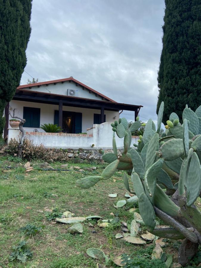 Villa Al Presti, Vacanze In Pieno Relax Чефалу Экстерьер фото